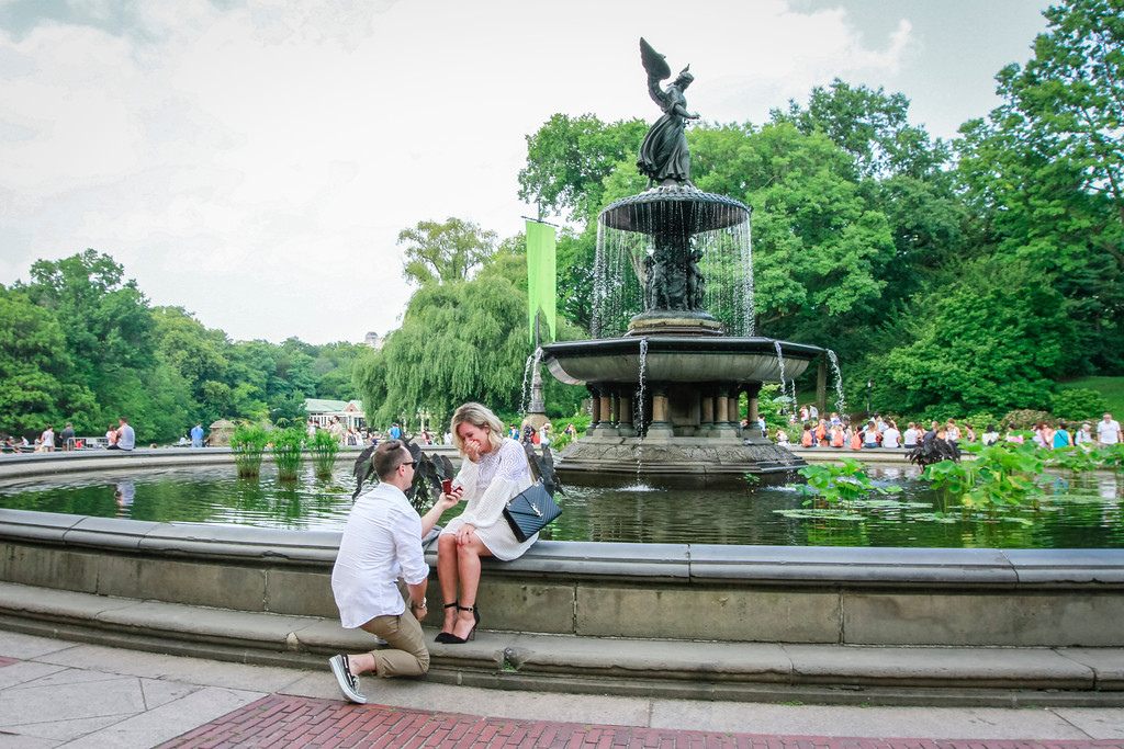 Bethesda Fountain Proposal