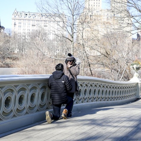 New York Proposal Photography| Danilo and Rachel