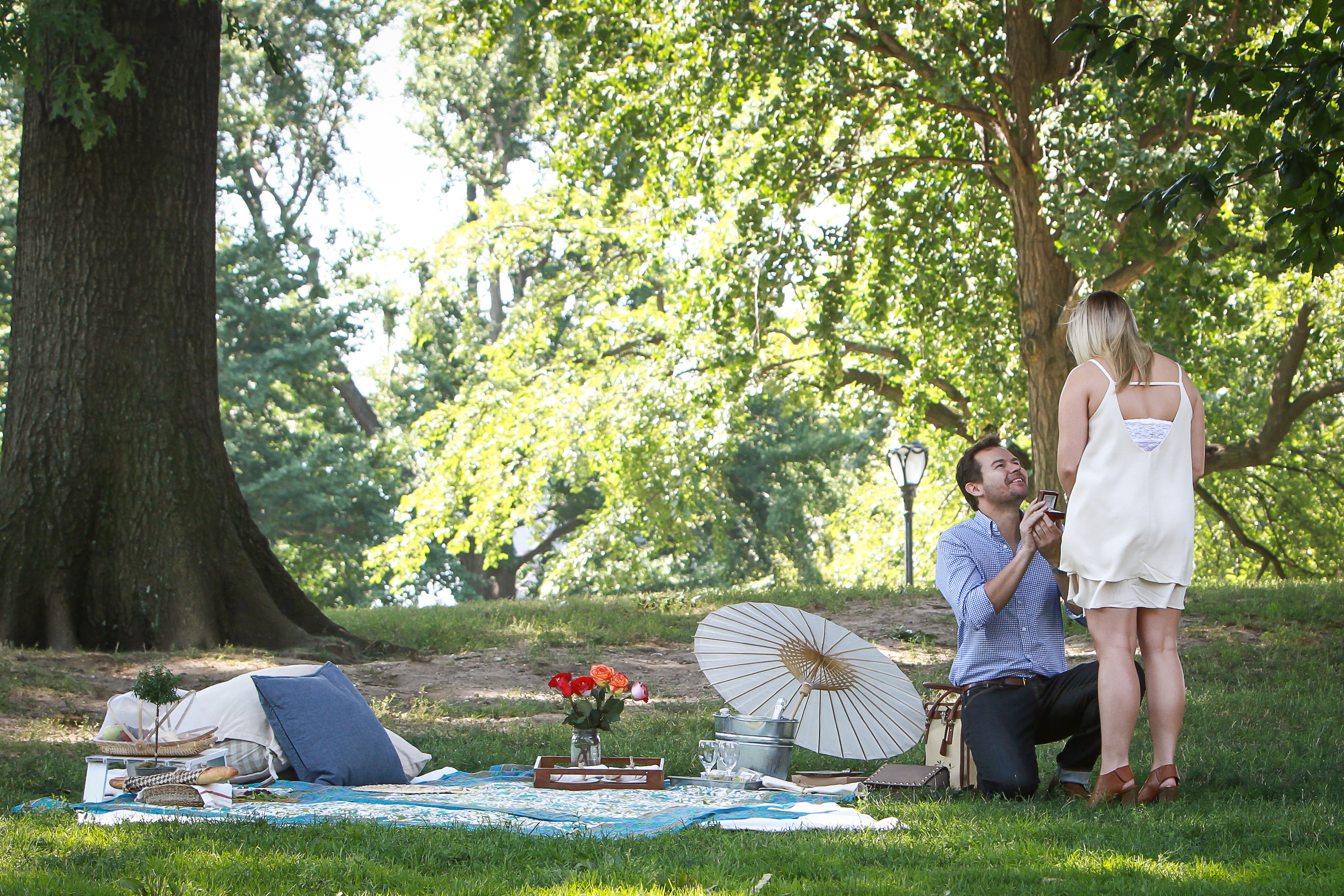 Perfect Picnic Proposal Ideas: Central Park 