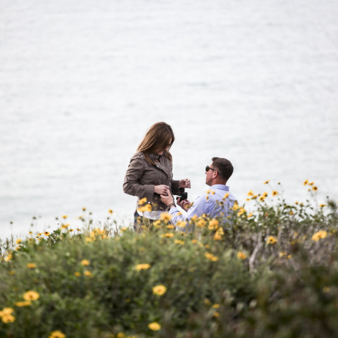 San Diego Proposal Photography| Shaun's Torrey Pines Proposal