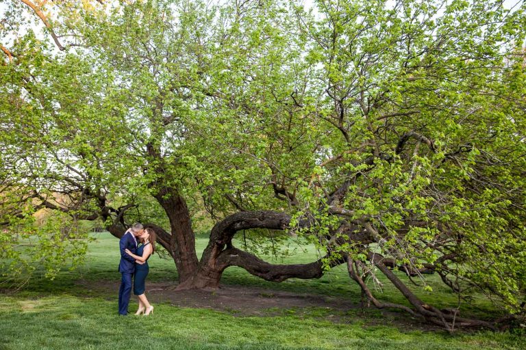 Photo Top 5 Indianapolis Proposal Ideas