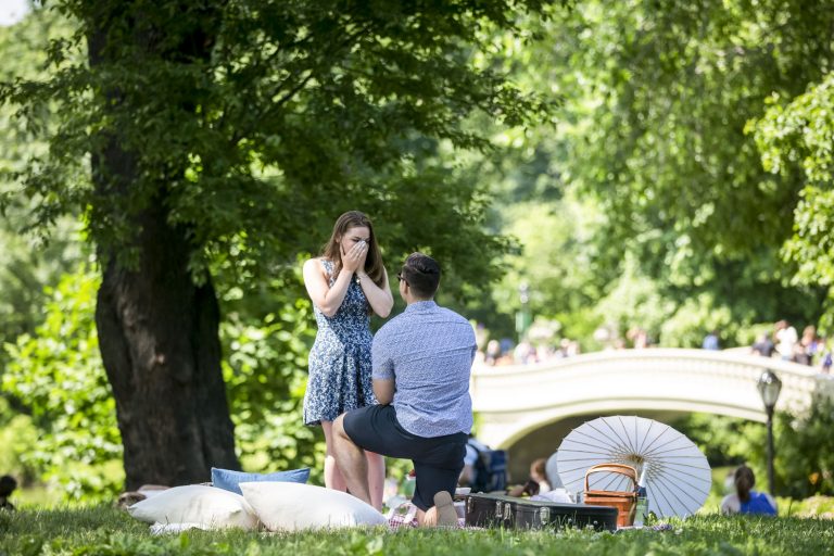 Photo Central Park Picnic Proposal: Matthew and Michelle