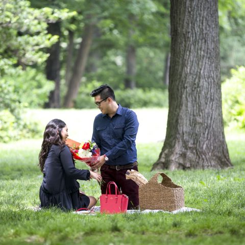 New York Proposal Photography| Isaac's Central Park Picnic Proposal