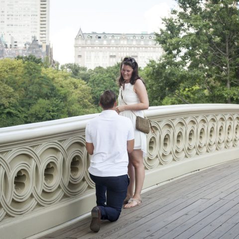 New York Proposal Photography| Nils and Lisa