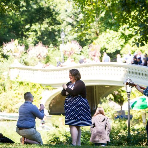 New York Proposal Photography| Sarah's Central Park Proposal