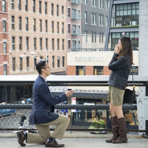 New York Proposal Photography| Daniel and Anna