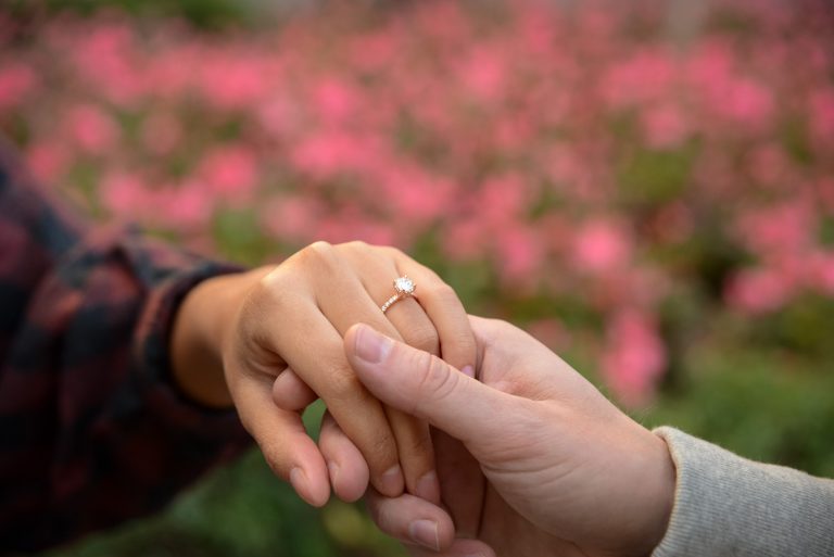 Photo Picture-Perfect St. Louis Proposal Ideas