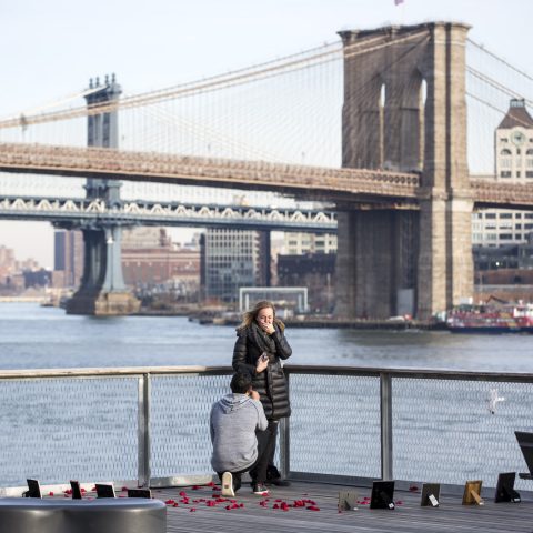 New York Proposal| Alphie and Kate