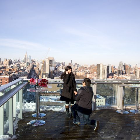 New York Proposal Photography| Mark and Siera