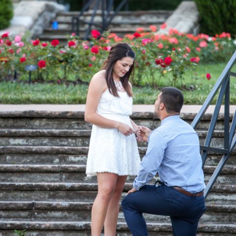 Loose Park Gardens Proposal | Dominic and Brooke