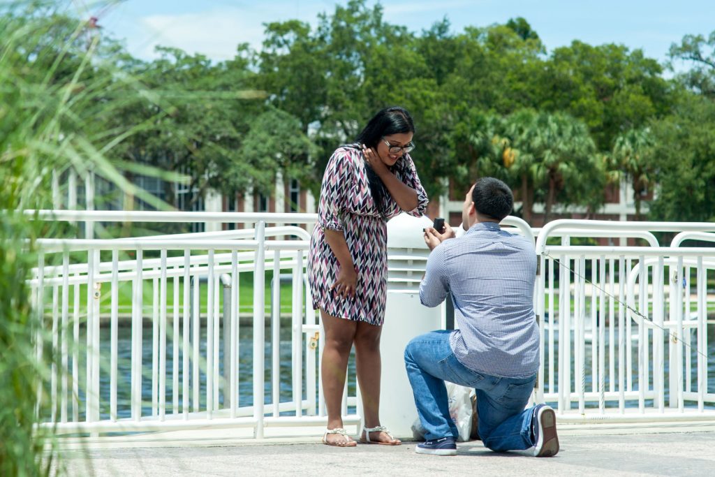 Photo The Best Places to Propose in Tampa