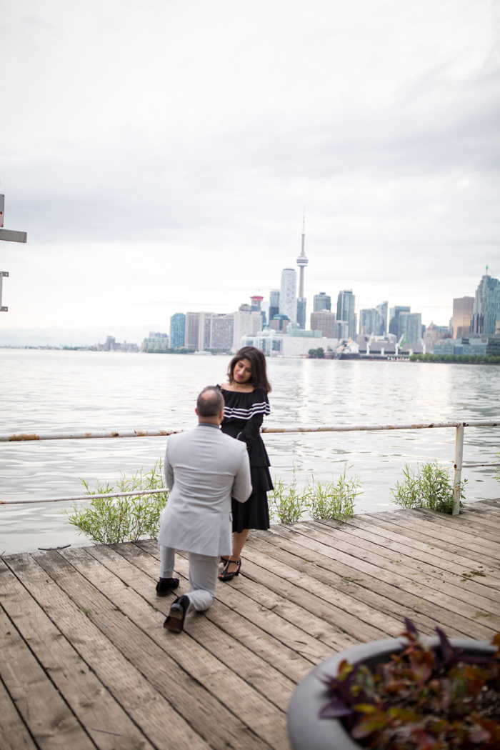 Photo Toronto Engagement Proposal Photography: Aatif and Maliha