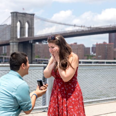 Brooklyn Bridge Picnic Proposal | Luis and Maria
