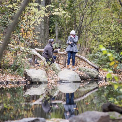 Central Park Proposal Photography| Ben and Rachel