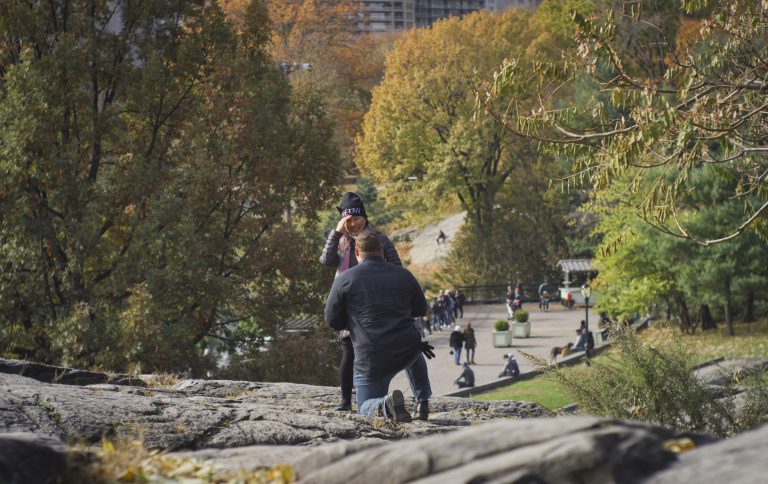 Photo Five Stunning Central Park Proposal Ideas
