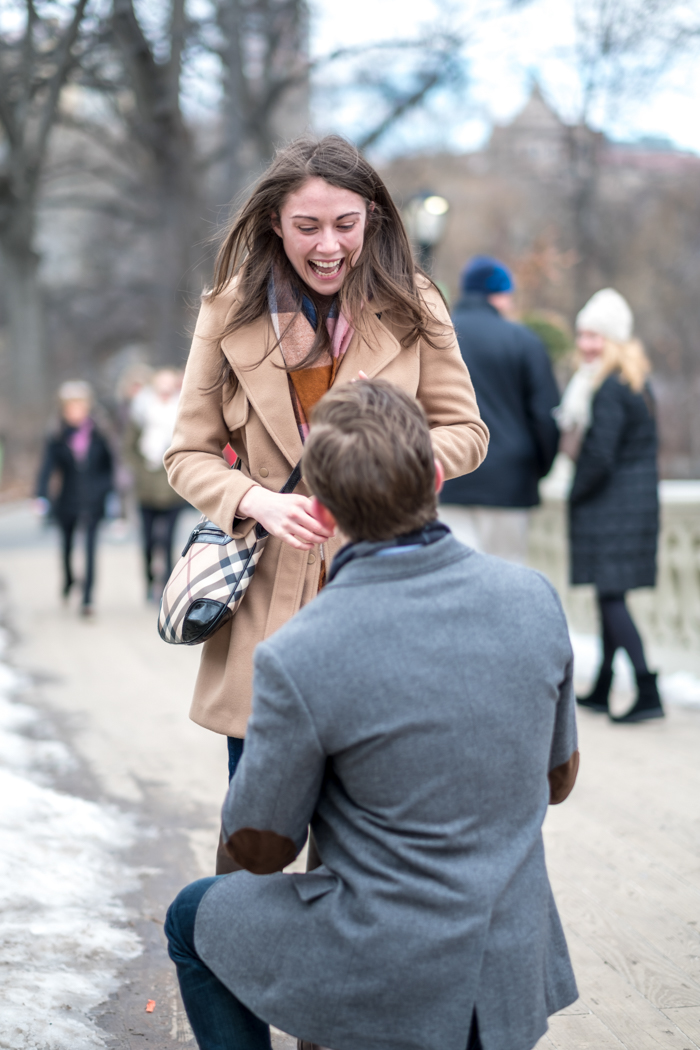 Photo Bow Bridge Engagement proposal: Austin and Caroline