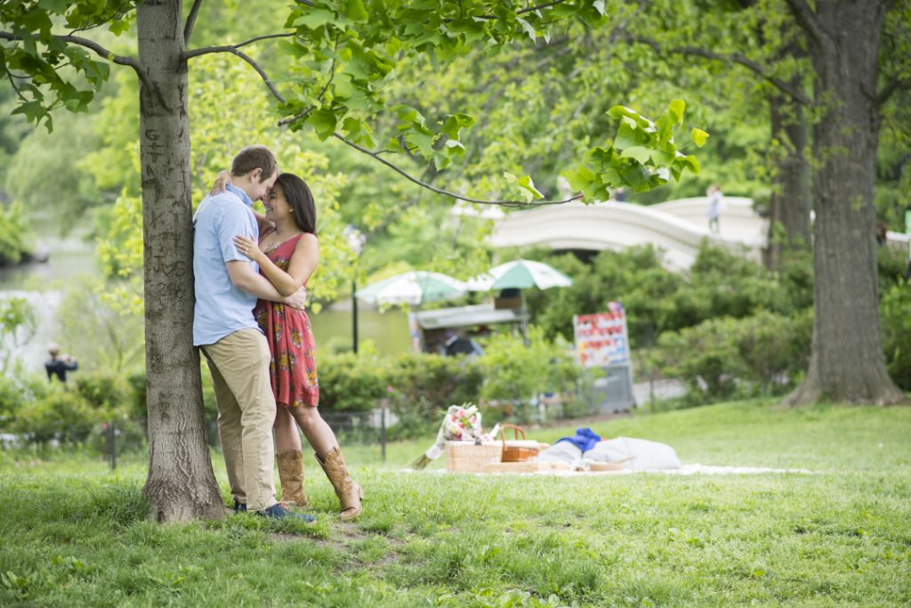 Photo Tyrell’s New York Picnic Engagement Proposal