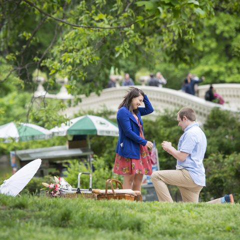 Tyrell's New York Perfect Picnic Proposal