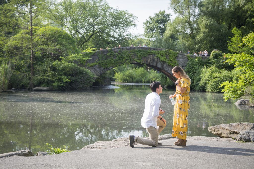 Photo Amazing Summer New York Engagement Proposals