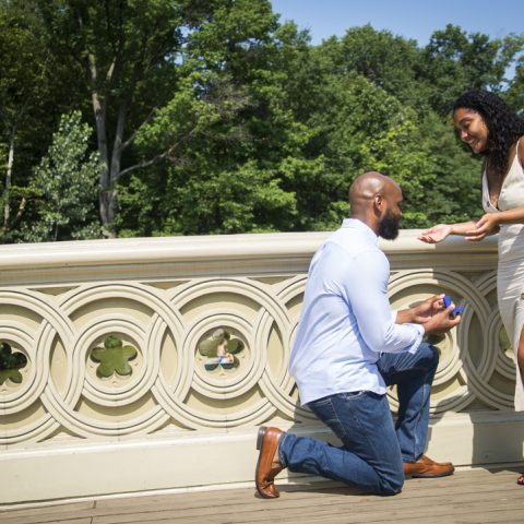 Bow Bridge Proposal Photography: Napolean and Yoely