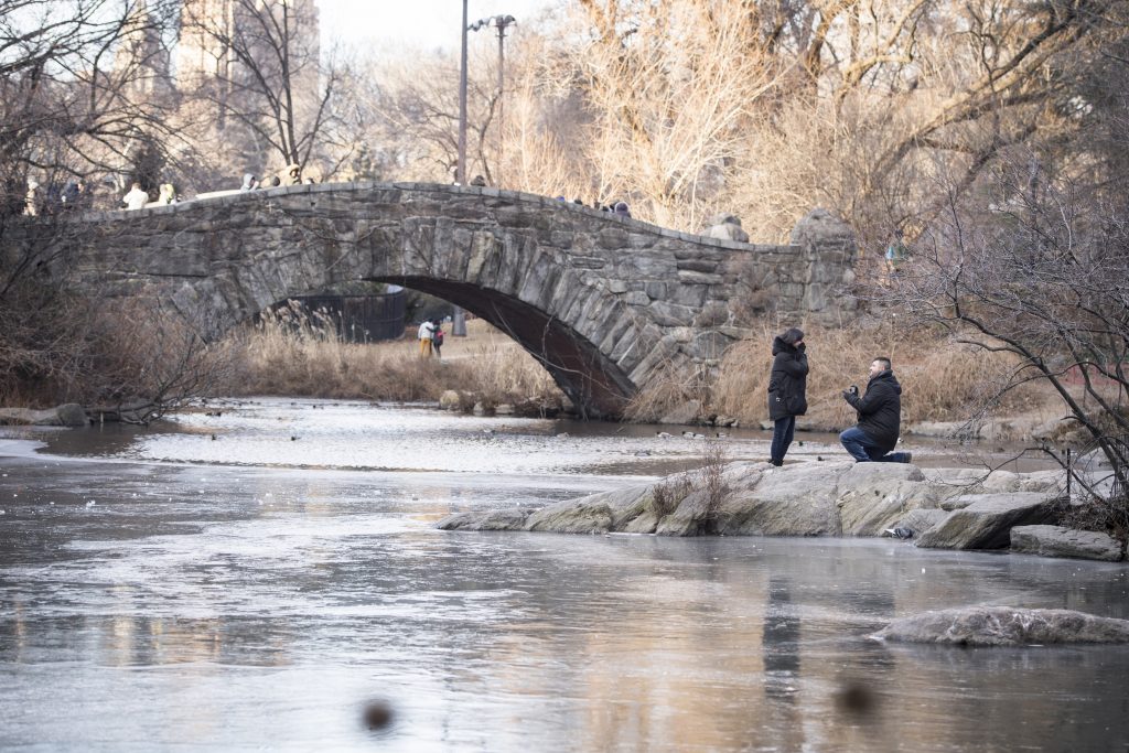 Photo Best Places to Propose in Central Park during the Fall and Winter