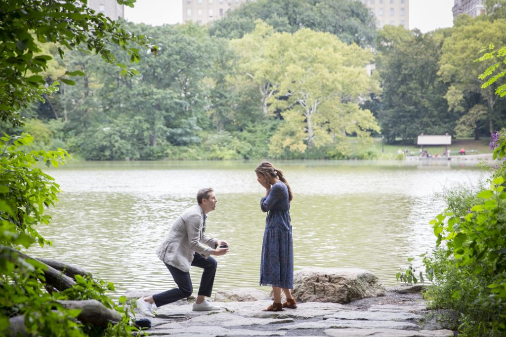 Photo Central Park Engagement Proposals: Remy and Jamie