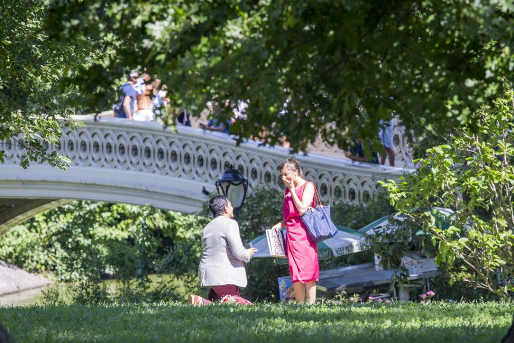 Photo The Proposal Photographer in New York City
