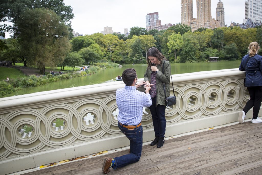 Photo Central Park Engagement Proposal: Sean and Kristen