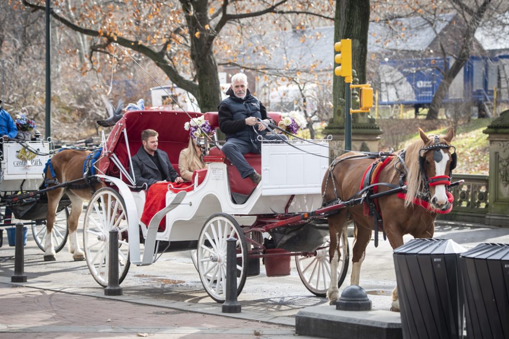 Photo Cal’s Horse-and-Carriage Central Park Engagement Proposal