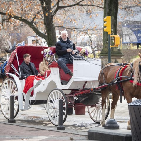 Cal’s Central Park Horse and Carriage Engagement Proposal