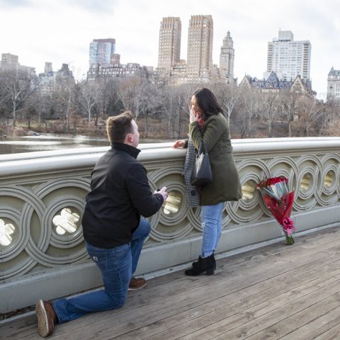 Central Park Engagement Proposals: Matt's Bow Bridge Engagement