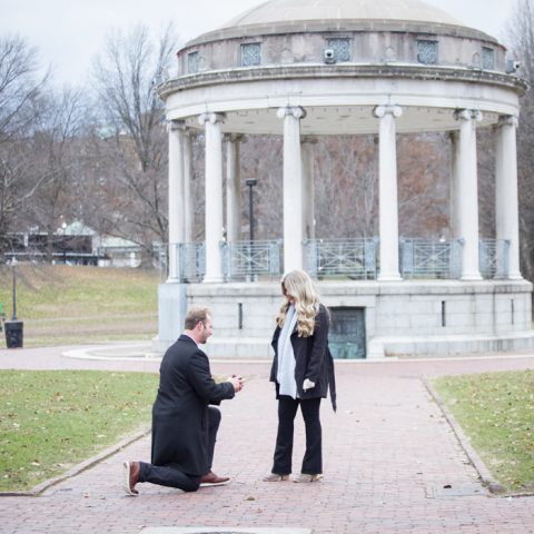Boston Common Engagement Proposal: Peter and Haley