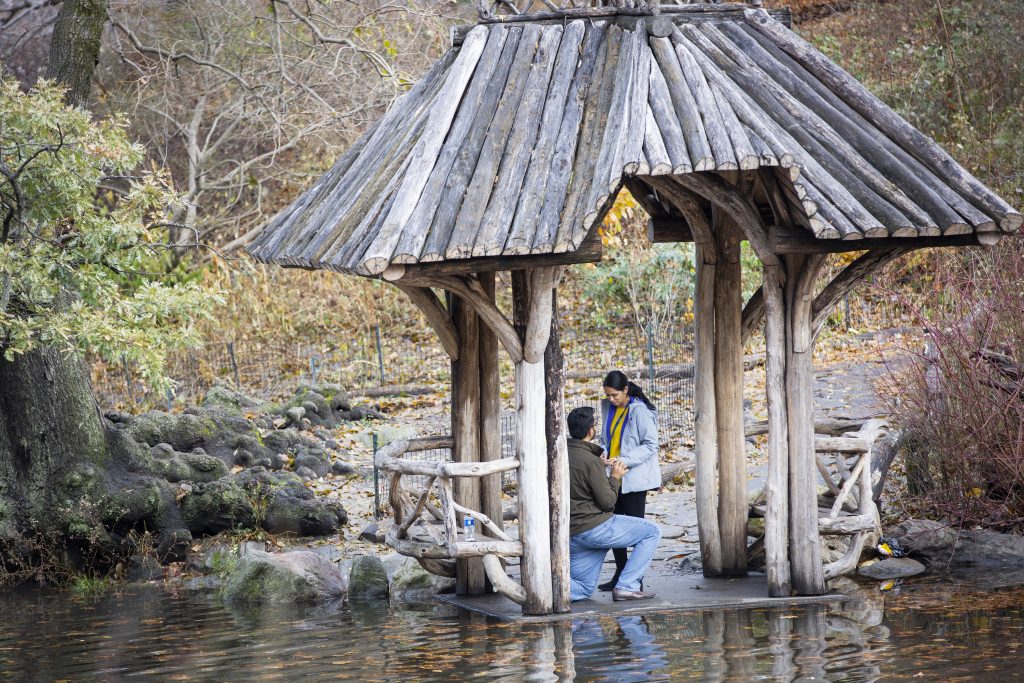 Photo The Most Picture-Perfect Central Park Engagement Proposals