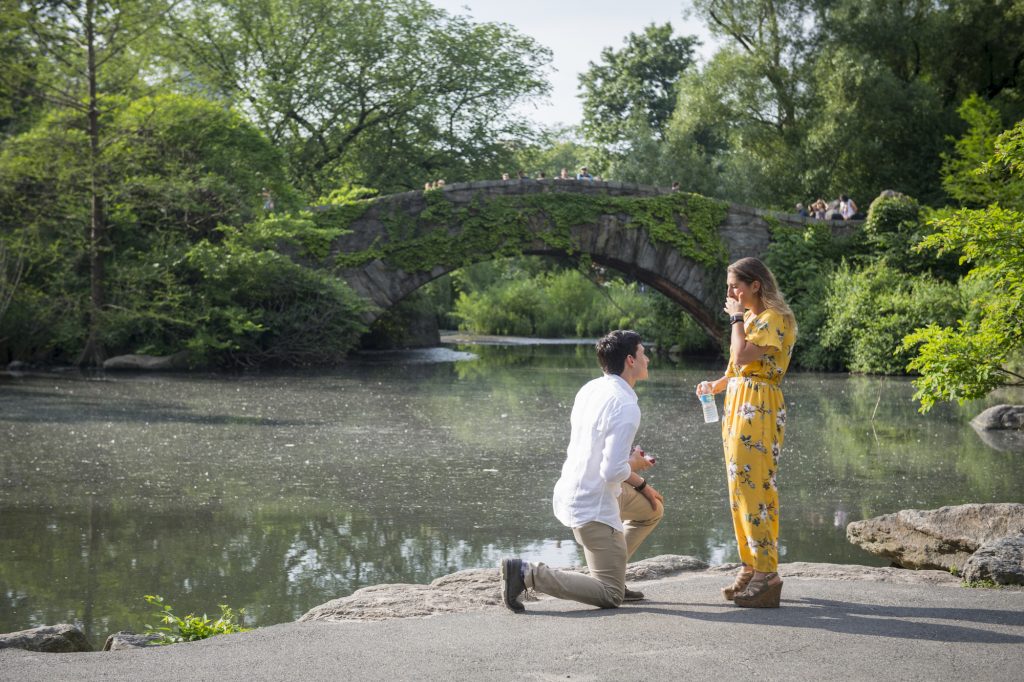 Photo The Most Picture-Perfect Central Park Engagement Proposals