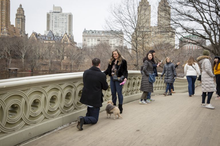 Photo Central Park Engagement Proposals: Dan and Annalise