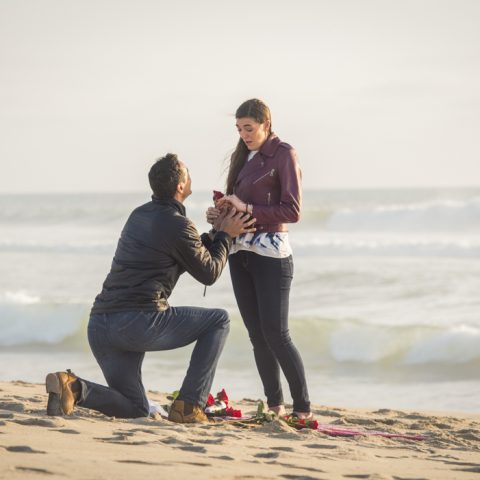 San Diego Beach Proposals: Andrew and Elise