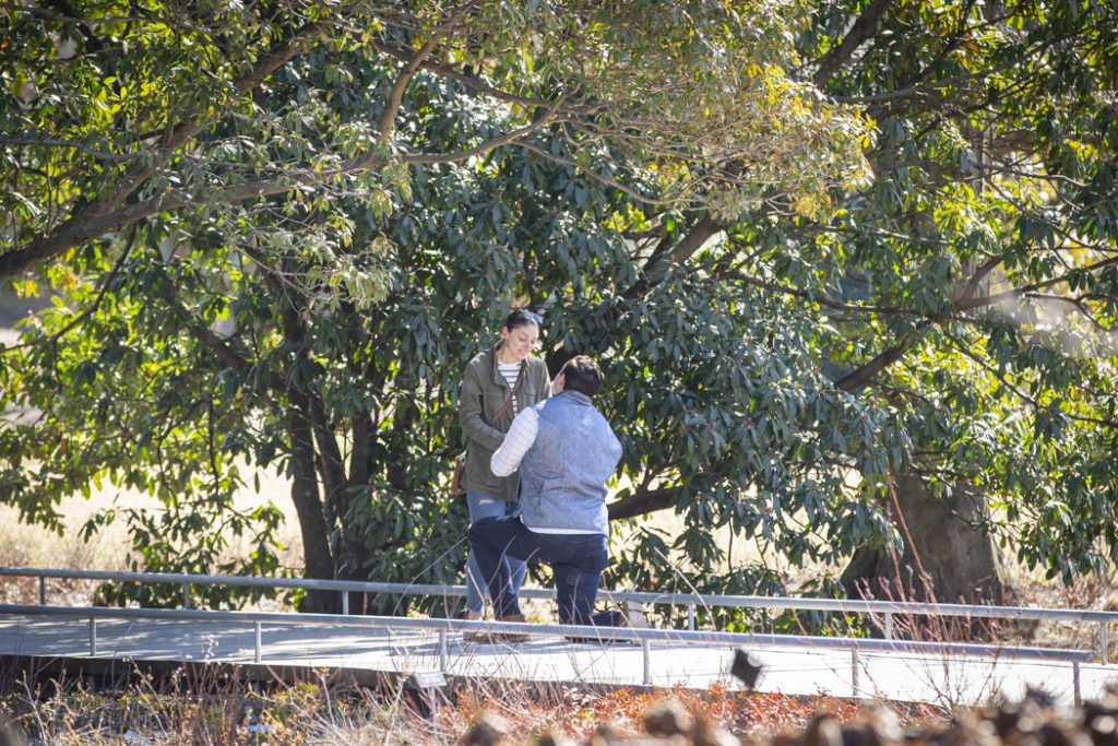 Photo Jordan’s Romantic Brooklyn Botanical Garden Engagement Proposal