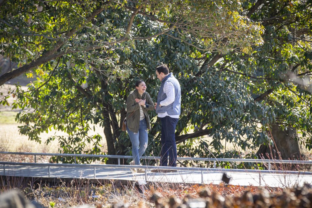 Photo Jordan’s Romantic Brooklyn Botanical Garden Engagement Proposal