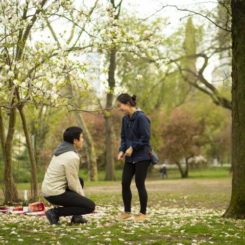 Central Park Picnic Proposal: Michael and Linda
