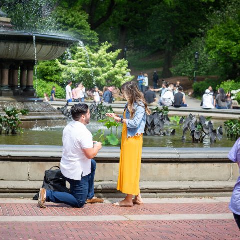 Justin's Central Park Bethesda Fountain Proposal