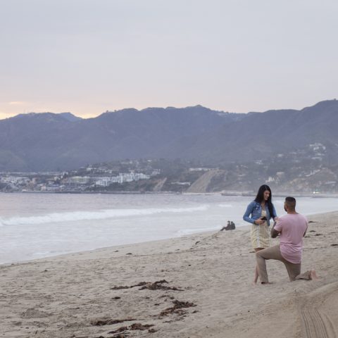 Vipran's Beautiful Los Angeles Beach Proposal