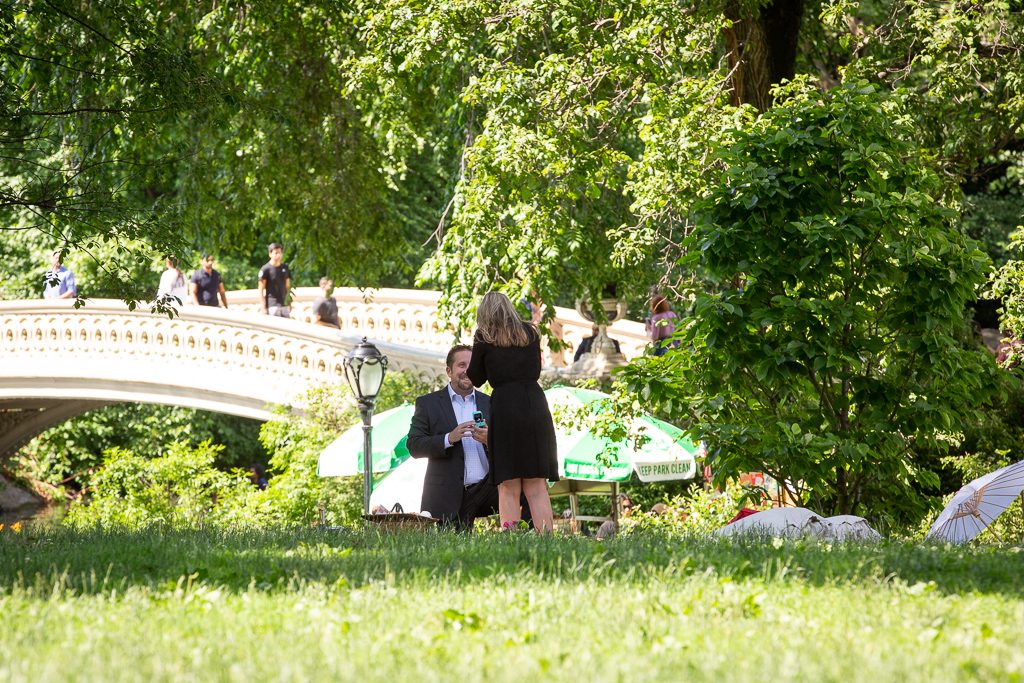 Central Park picnic proposals