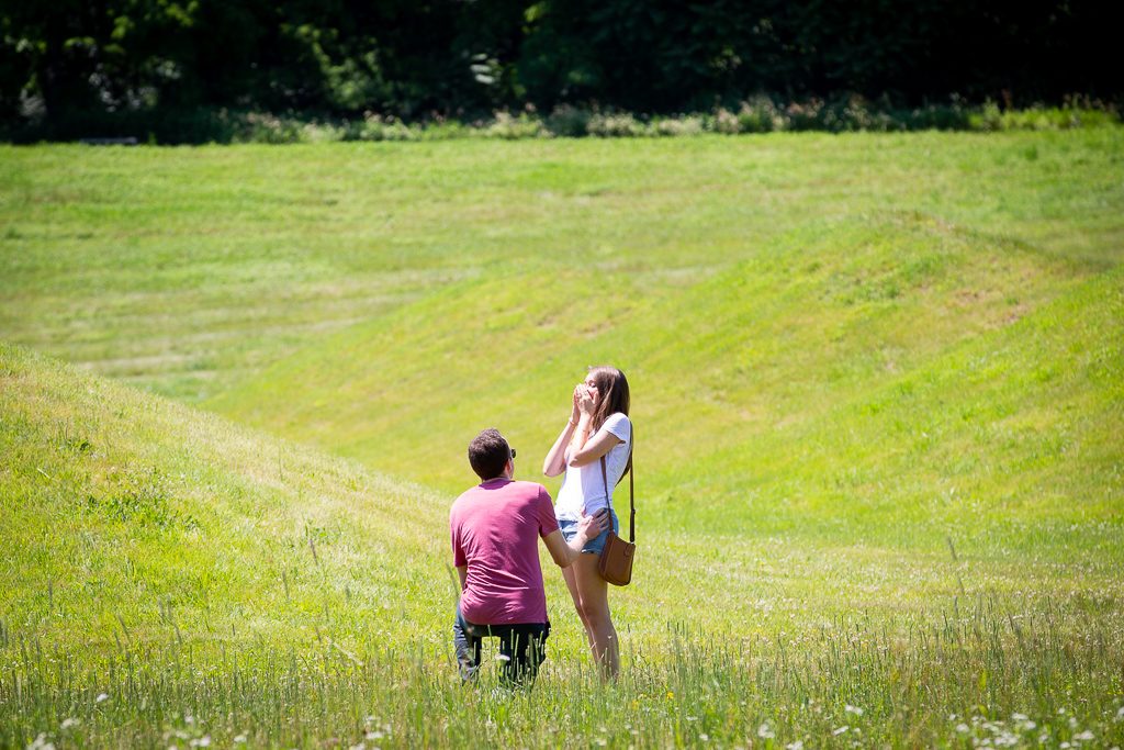 Photo Storm Art Center Engagement Proposals: Ryan and Lisa