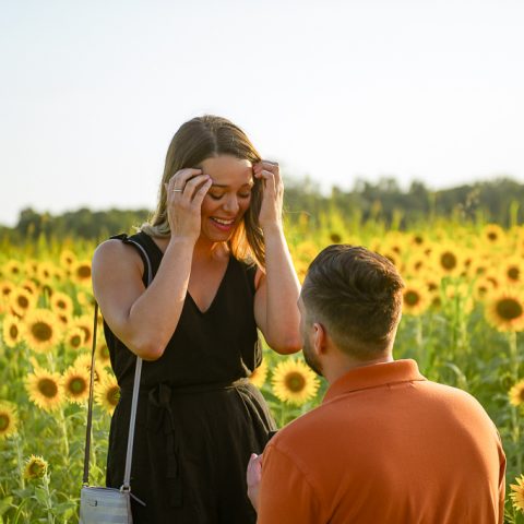 Chase beautiful Sunflower Sunset Proposal, Washington DC.
