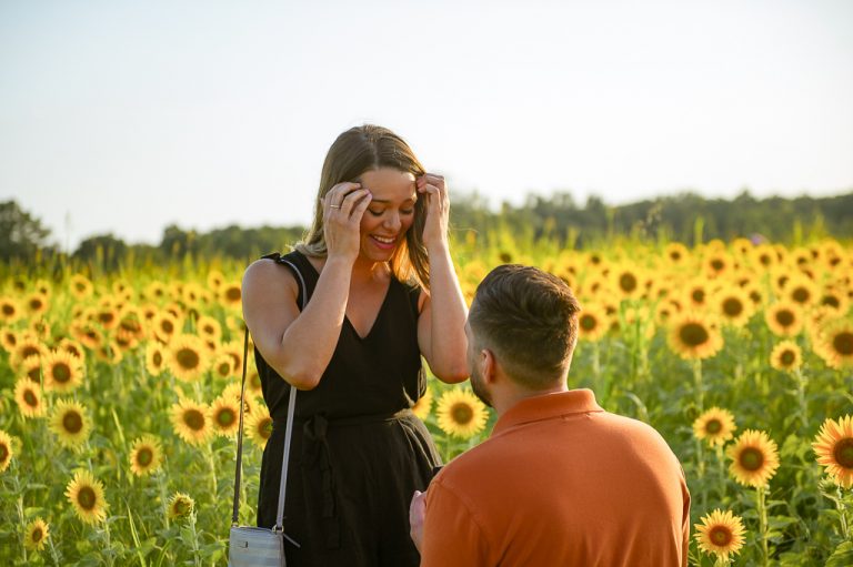 Photo Sunflower Field Proposal Photos | Chase and Bianca