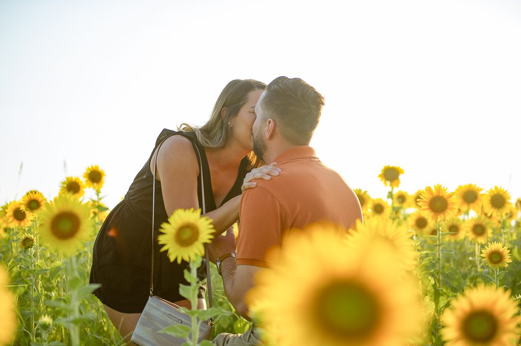 Photo Sunflower Field Proposal Photos | Chase and Bianca