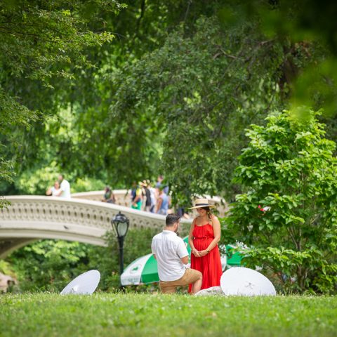Lance's Picture-Perfect Central Park Picnic Proposal