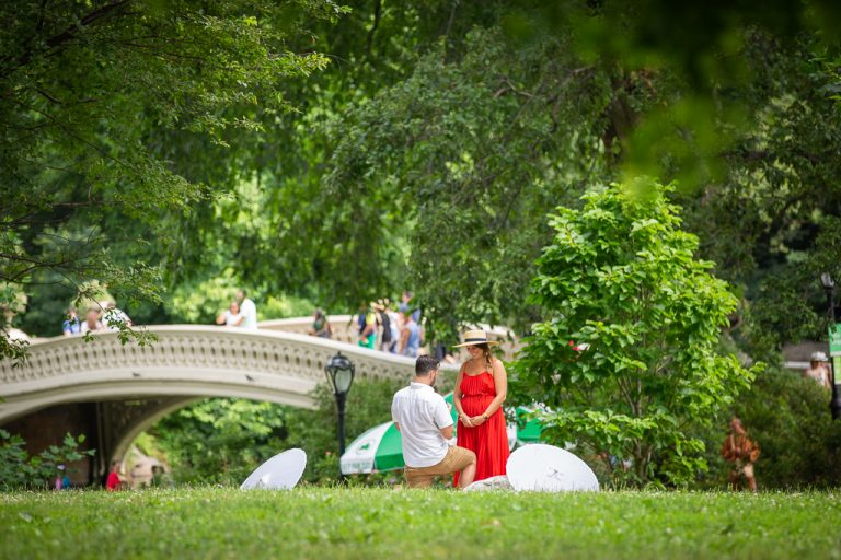 Photo New York Picnic Engagement Proposals: Jeff’s Central Park Proposal