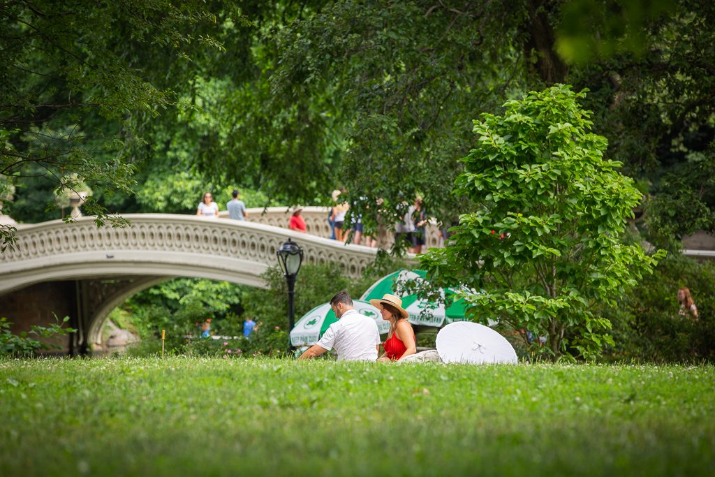 Photo New York Picnic Engagement Proposals: Jeff’s Central Park Proposal