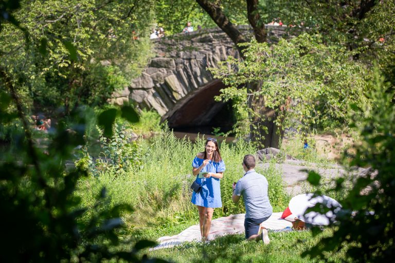 Photo New York City Proposal Ideas: Central Park